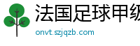 法国足球甲级联赛